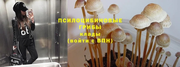 тгк Липки