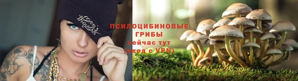Альфа ПВП Лиски