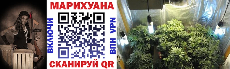 сколько стоит  Магас  blacksprut сайт  Канабис MAZAR 